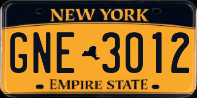 NY license plate GNE3012