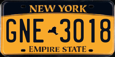 NY license plate GNE3018