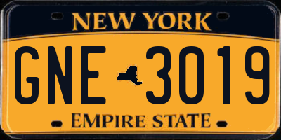 NY license plate GNE3019