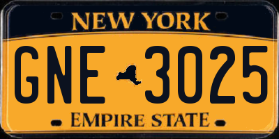 NY license plate GNE3025