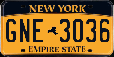 NY license plate GNE3036