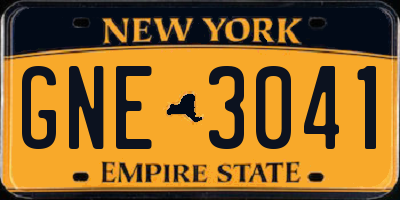 NY license plate GNE3041