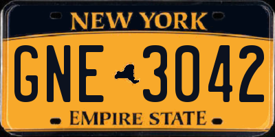 NY license plate GNE3042