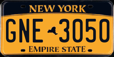 NY license plate GNE3050