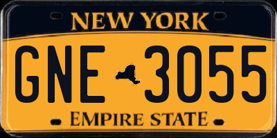 NY license plate GNE3055