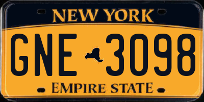 NY license plate GNE3098