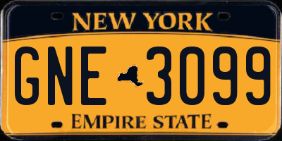 NY license plate GNE3099