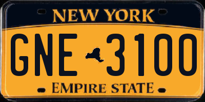 NY license plate GNE3100