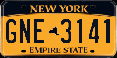 NY license plate GNE3141