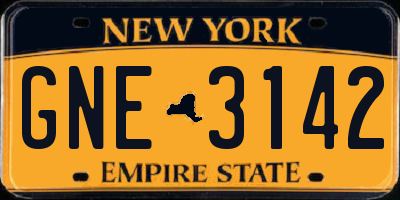 NY license plate GNE3142