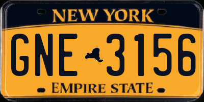 NY license plate GNE3156