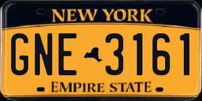 NY license plate GNE3161