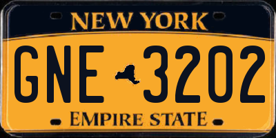 NY license plate GNE3202