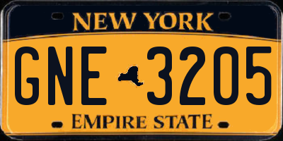 NY license plate GNE3205