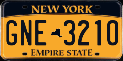 NY license plate GNE3210