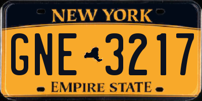 NY license plate GNE3217