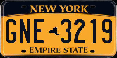 NY license plate GNE3219