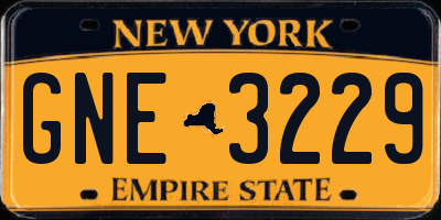 NY license plate GNE3229