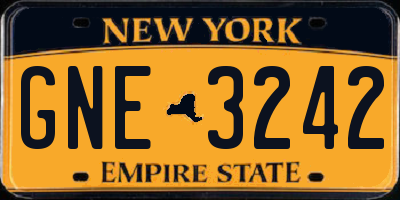 NY license plate GNE3242