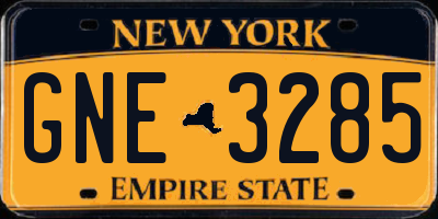 NY license plate GNE3285