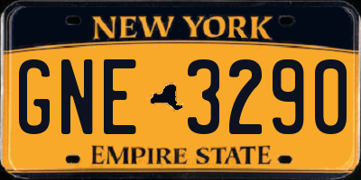 NY license plate GNE3290