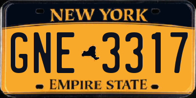 NY license plate GNE3317