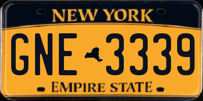NY license plate GNE3339