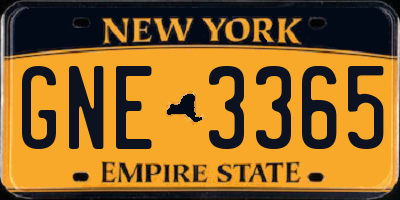 NY license plate GNE3365