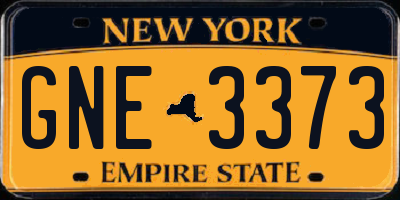 NY license plate GNE3373