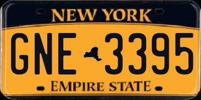 NY license plate GNE3395