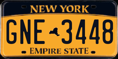 NY license plate GNE3448