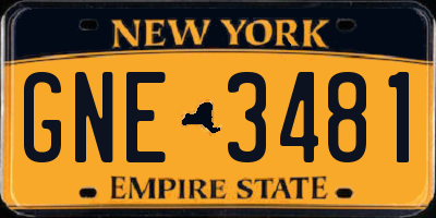 NY license plate GNE3481