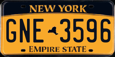 NY license plate GNE3596