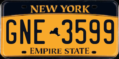 NY license plate GNE3599