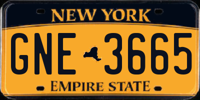 NY license plate GNE3665