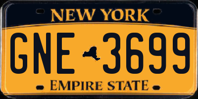 NY license plate GNE3699