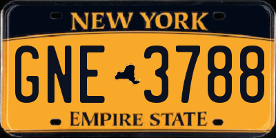 NY license plate GNE3788