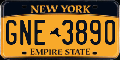 NY license plate GNE3890