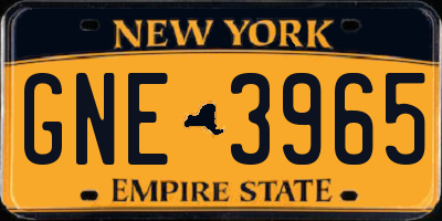 NY license plate GNE3965
