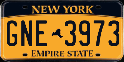 NY license plate GNE3973