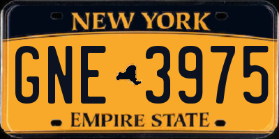 NY license plate GNE3975