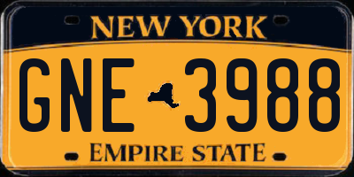 NY license plate GNE3988