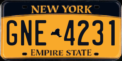 NY license plate GNE4231