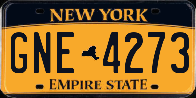 NY license plate GNE4273
