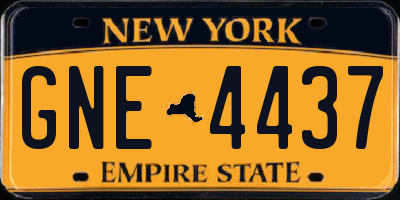 NY license plate GNE4437