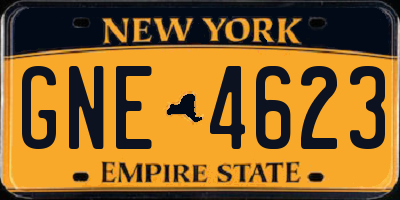 NY license plate GNE4623