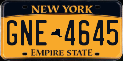 NY license plate GNE4645