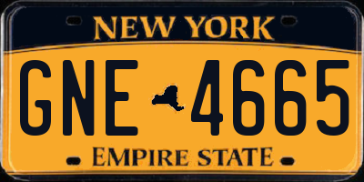 NY license plate GNE4665