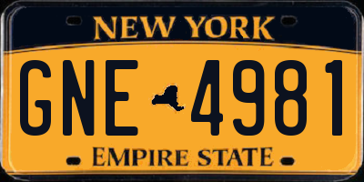 NY license plate GNE4981