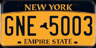 NY license plate GNE5003